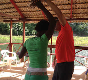 Merenge Versuch auf der Rückfahrt