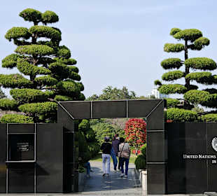 UN Memorial Cemetery
