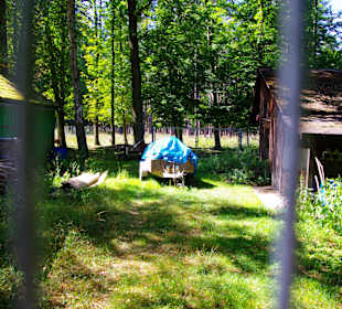 Versorgung der Tiere