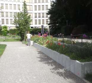 Belvoirpark