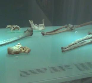 Archäologisches Landesmuseum