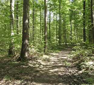 Wanderweg Hochgehwachsen