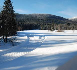 Winterbild Langlaufloipe Finsterau