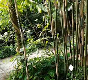 Botanischer Garten