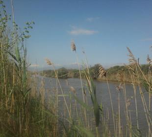 S'Albufera