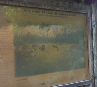 Kurpark Bad Niedernau