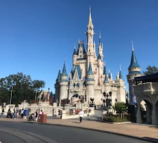 Disney World