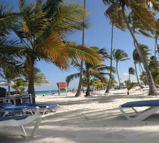 Strand zwischen Palmen