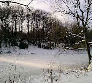 Großzügige Parkanlage