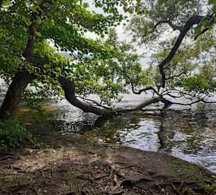 Großer Plöner See