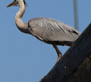 Die Schleusung wird beobachtet