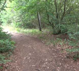 Hochgeträumt Premiumwanderung