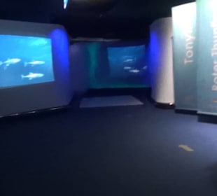 Palma Aquarium