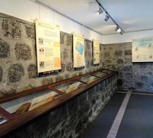 Sammlung im Botanischen Garten Mascarin