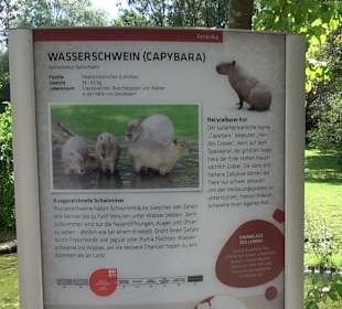 Tierpark Hellabrunn