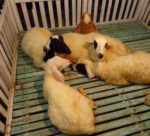 Auf dem Nachtmarkt von Kanchanaburi