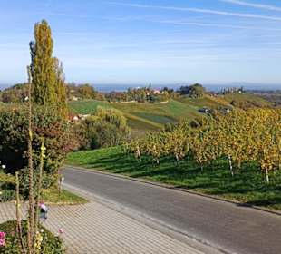 Aussicht in die Südsteiermark