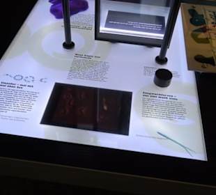 Museum für Naturkunde