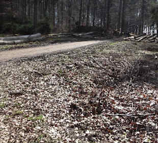 Wanderroute Drei Berge Tour Willmandingen
