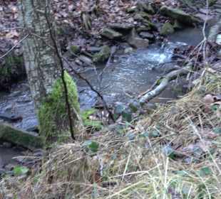 Wanderung rund um den Ochsenweiher