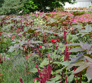 Rundgang durch den Park der Gärten
