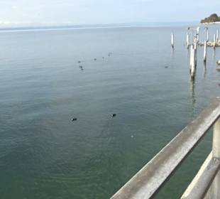 Uferpromenade Friedrichshafen