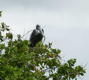 Nature Complete Tour 