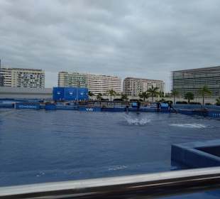 Aquarium / Oceanongrafic