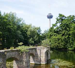 Blick auf den Kölnturm