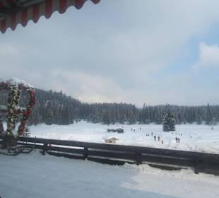 Ausblick von der Terrasse