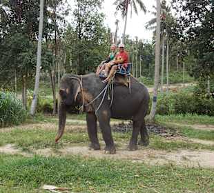 Elefantenreiten Safaripark