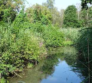 Sommer-Impressionen aus dem Park Links der Weser