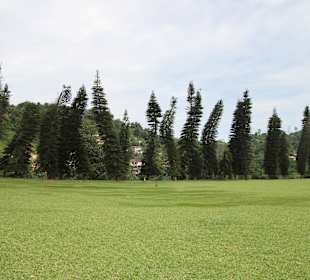 Kandy Botanischer Garten