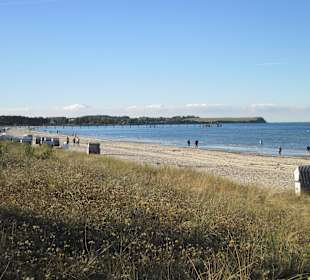 Badestrand Boltenhagen