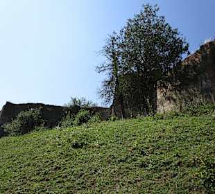 Burg Slimnic/Stolzenburg
