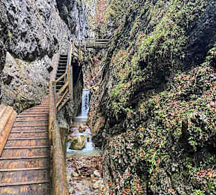 Dr. Vogelgesang-Klamm