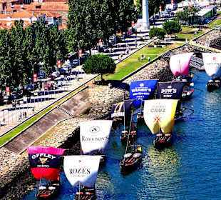 Boten van de Porthuizen