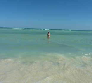 Kite-Strand 