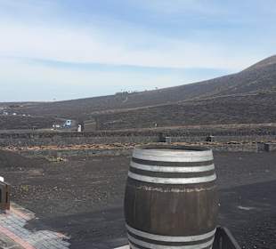 La Geria Weinbau Bodega Rubicon 