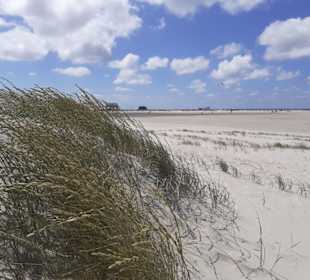 Strand St. Peter Ording in St. Peter-Ording