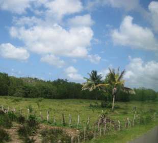 Heimfahrt von der Paradies Insel 