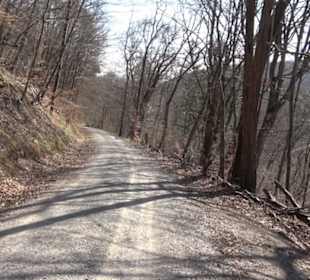Geologischer Lehrpfad Kirnbachtal