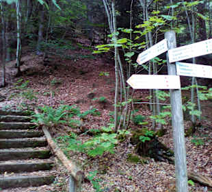 Wanderweg Eisenhüttenweg in Trippstadt