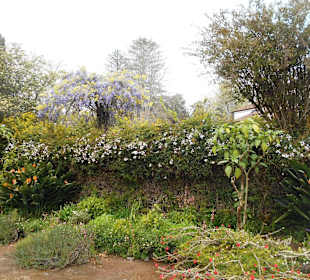 Palheiro Gardens