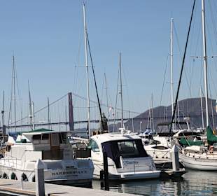 ...da liegt Geld pur..