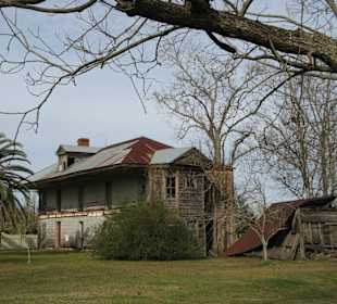Im Garten der Laura Plantation in Vacherie