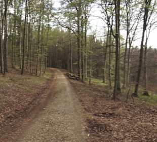 Wanderweg Hochgehswiggert