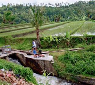 Waschtag zwischen Reisterrassen
