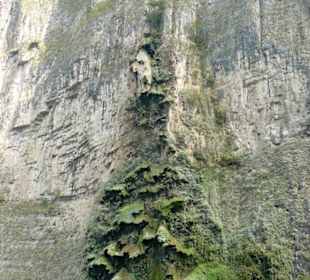 Rejs łodzią - skalna choinka