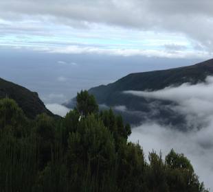 Madeira mit Manuel